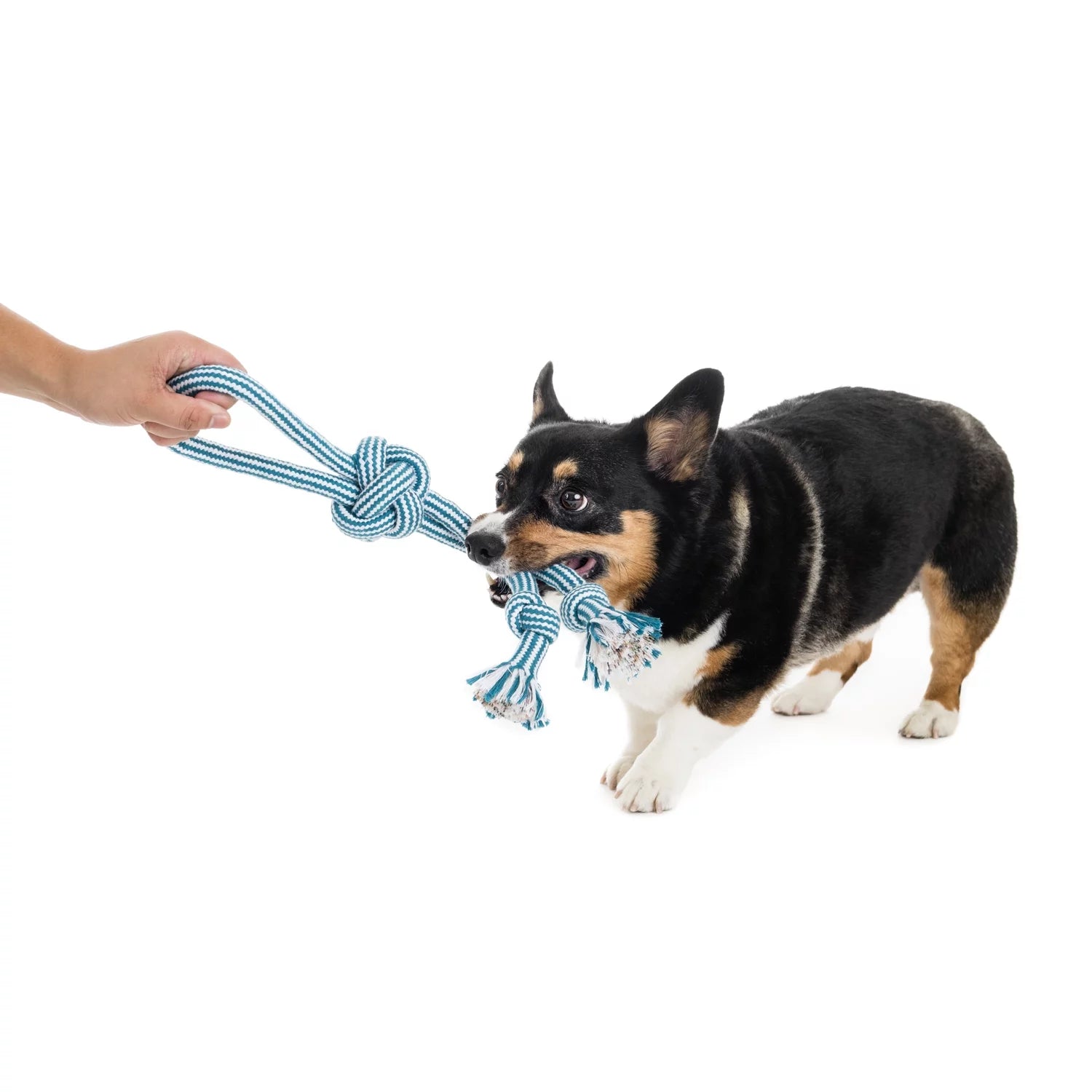 Flossy Chews 18-Inch Extra Double-Tug Cotton-Blend Dog Toy with Loop Handle, Assorted Colors