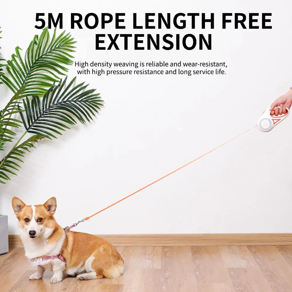 Retractable Dog Leash - 3M and 5M Durable Traction Rope for Large Dogs and Cats, Automatic Extension Lead for Walking and Running
