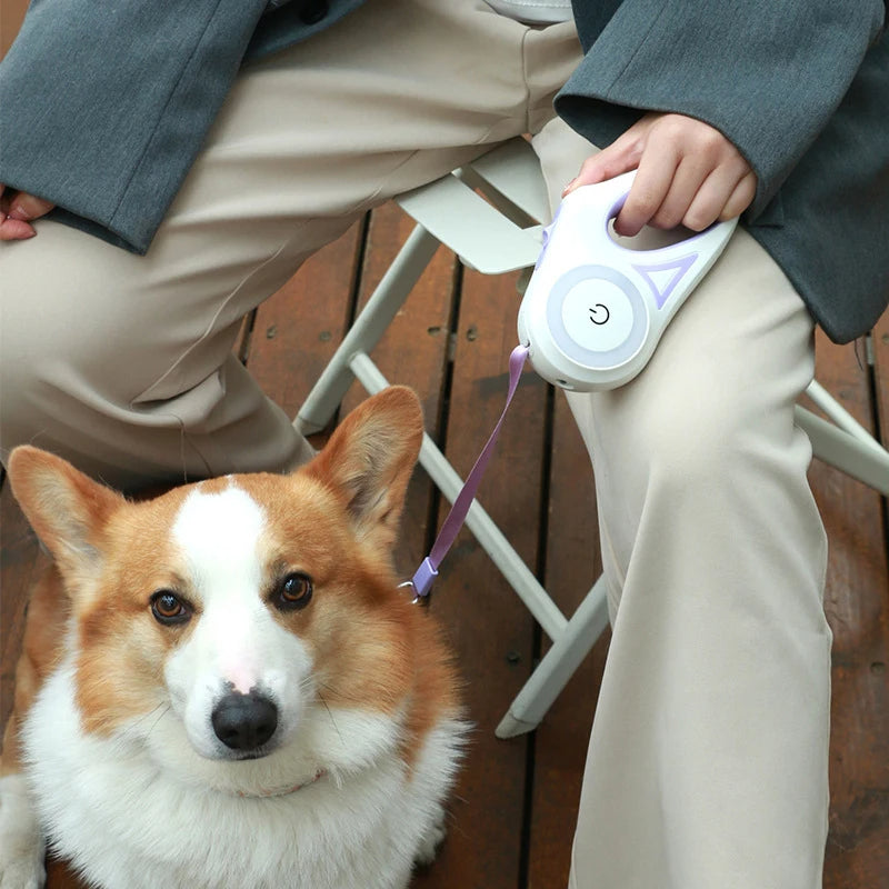 Retractable Dog Leash - 3M and 5M Durable Traction Rope for Large Dogs and Cats, Automatic Extension Lead for Walking and Running